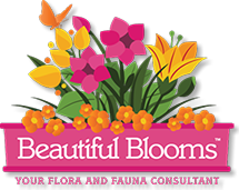 Beautiful Blooms logo design, done in 3 different color combinations.