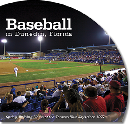 Brochure design for the City of Dunedin Parks and Recreation Department, showcasing their baseball stadium. Includes photography shot by us.