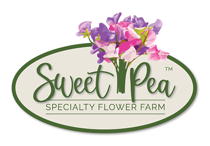 Logo design and branding created for Sweet Pea Specialty Flower Farm of New Hampshire.