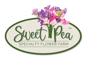 Logo design and branding created for Sweet Pea Specialty Flower Farm of New Hampshire.